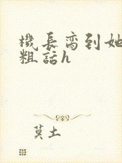 机长脔到她哭h粗话h