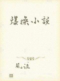 爆操小说