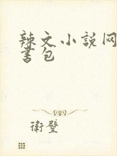 辣文小说网第二书包