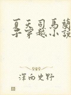 夏天司马兰九皇子穿越小说笔趣阁