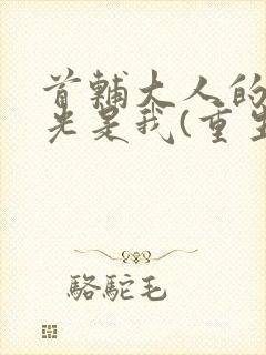 首辅大人的白月光是我(重生)