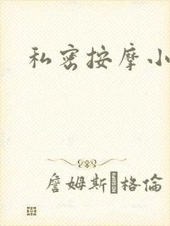 私密按摩小说