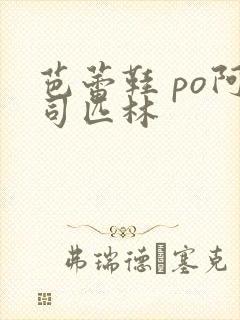 芭蕾鞋 po阿司匹林