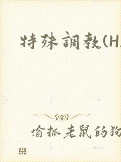 特殊调教(H)