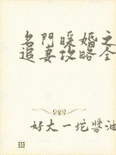 名门暖婚之权爷追妻攻略全文免费阅读