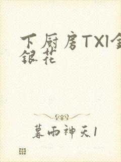 下厨房TXl金银花