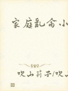 家庭乱仑小说