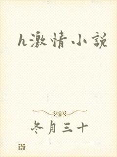 h激情小说
