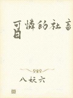 可怜的社畜东度日