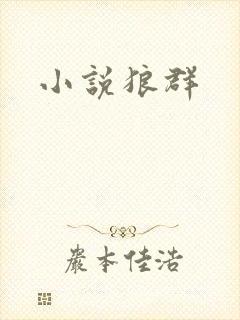 小说狼群