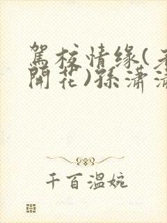 驾校情缘(老树开花)孙潇潇笔趣阁