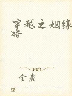 穿越之姻缘劫攻略