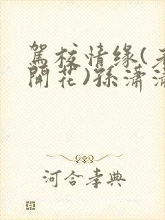 驾校情缘(老树开花)孙潇潇笔趣阁