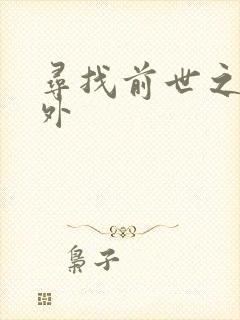 寻找前世之旅番外