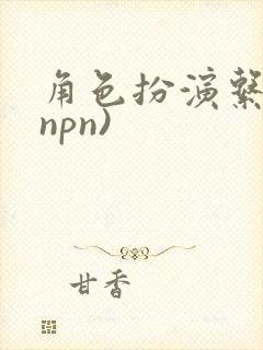 角色扮演系统(npn)