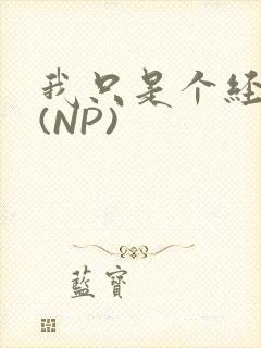 我只是个经纪人(NP)