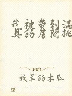 我被带到满是玩具的房间挑调游戏