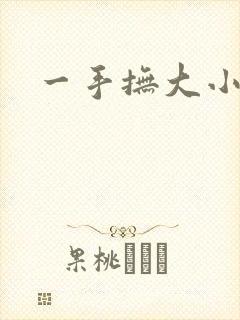 一手抚大小说