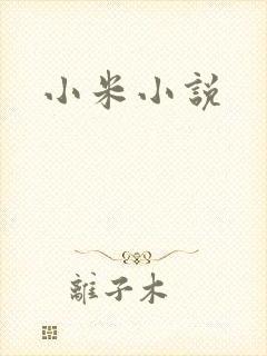 小米小说