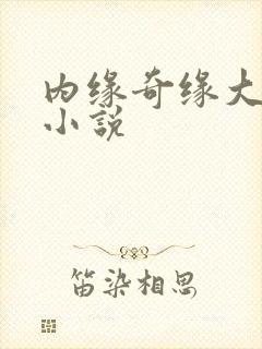 内缘奇缘大团圆小说