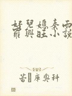 好儿媳秦雨罗明罗兴旺小说