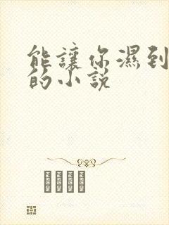 能让你湿到不行的小说