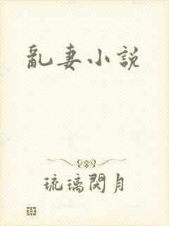 乱妻小说