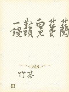 一对白花花的大馒头免费阅读