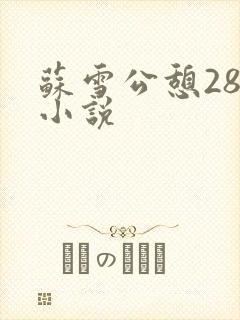 苏雪公憩28篇小说