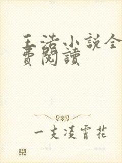 王浩小说全文免费阅读