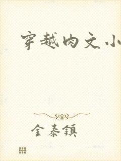 穿越肉文小说