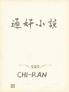 通奸小说