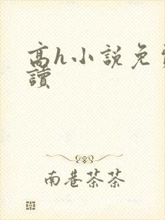 高h小说免费阅读