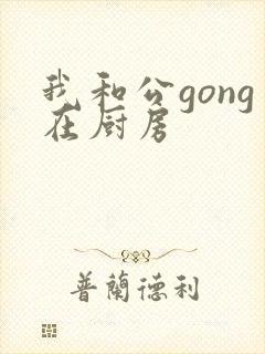 我和公gong在厨房