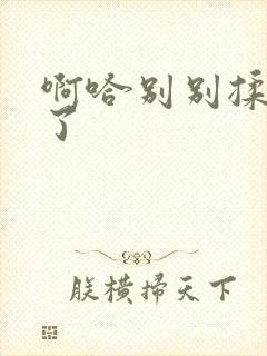 啊哈别别揉那处了