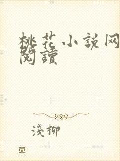 桃花小说网小说阅读