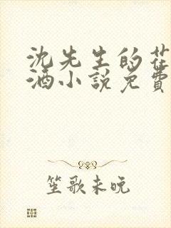 沈先生的花式调酒小说免费阅读