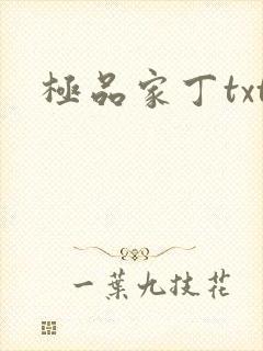 极品家丁txt