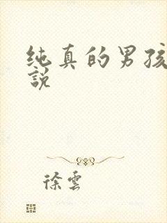 纯真的男孩子小说
