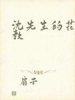 沈先生的花式管教