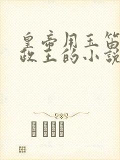 皇帝用玉笛整摄政王的小说