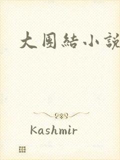 大团结小说全文