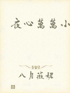 夜心万万小说