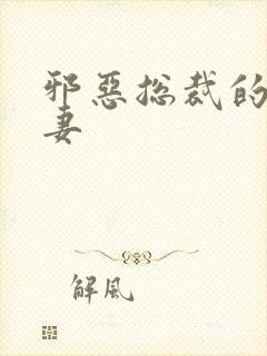 邪恶总裁的娇宠妻