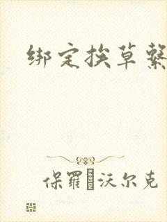 绑定挨草系统后