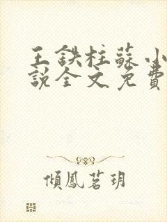 王铁柱苏小汐小说全文免费阅读最新章节