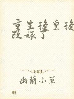 重生后皇后娘娘改嫁了