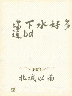 你下水好多下水道bd