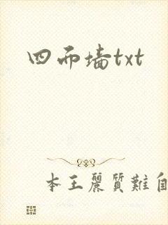 四面墙txt