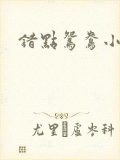 错点鸳鸯小说